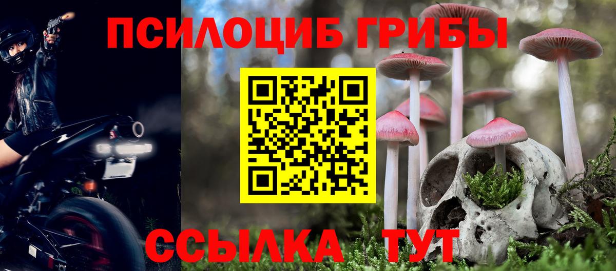 Псилоцибиновые грибы Magic Shrooms Калуга