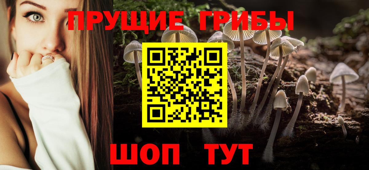 Псилоцибиновые грибы мухоморы  Вход с VPN  Псилоцибиновые грибы мицелий  Калуга 