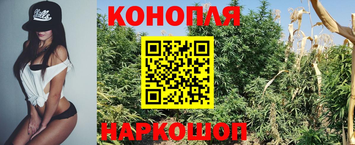 Каннабис сатива  Бошки Шишки THC 21%  Марихуана VHQ  Конопля конопля  Вход с VPN  Калуга 